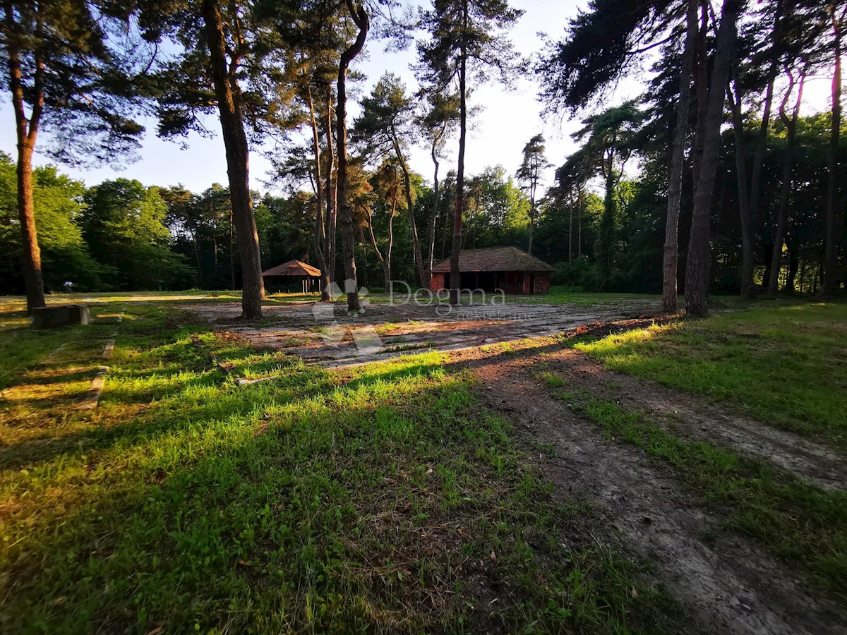 Zemljišče Mačkovec, Čakovec - Okolica, 55,37m2