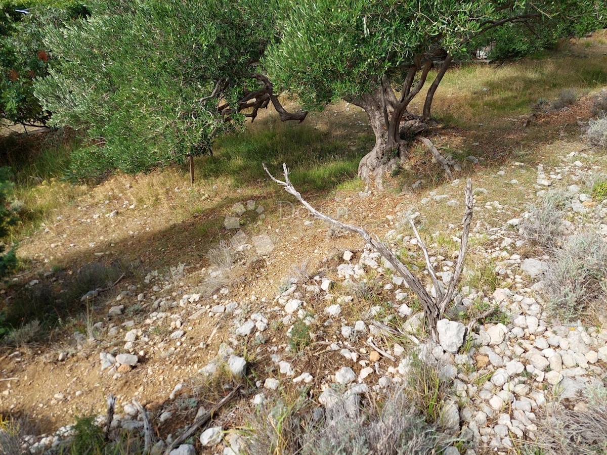 Zemljišče Mundanije, Rab, 1.482m2