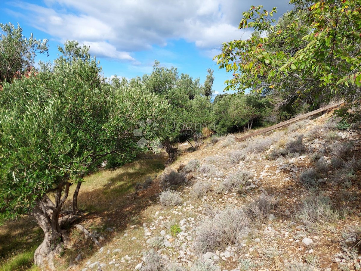 Zemljišče Mundanije, Rab, 1.482m2