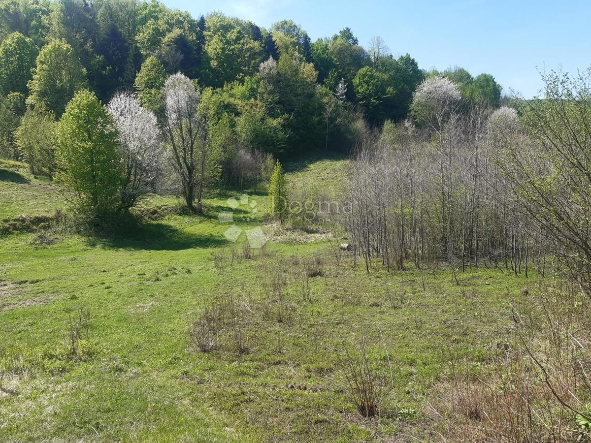 Zemljišče Kunić, Plaški, 7.000m2