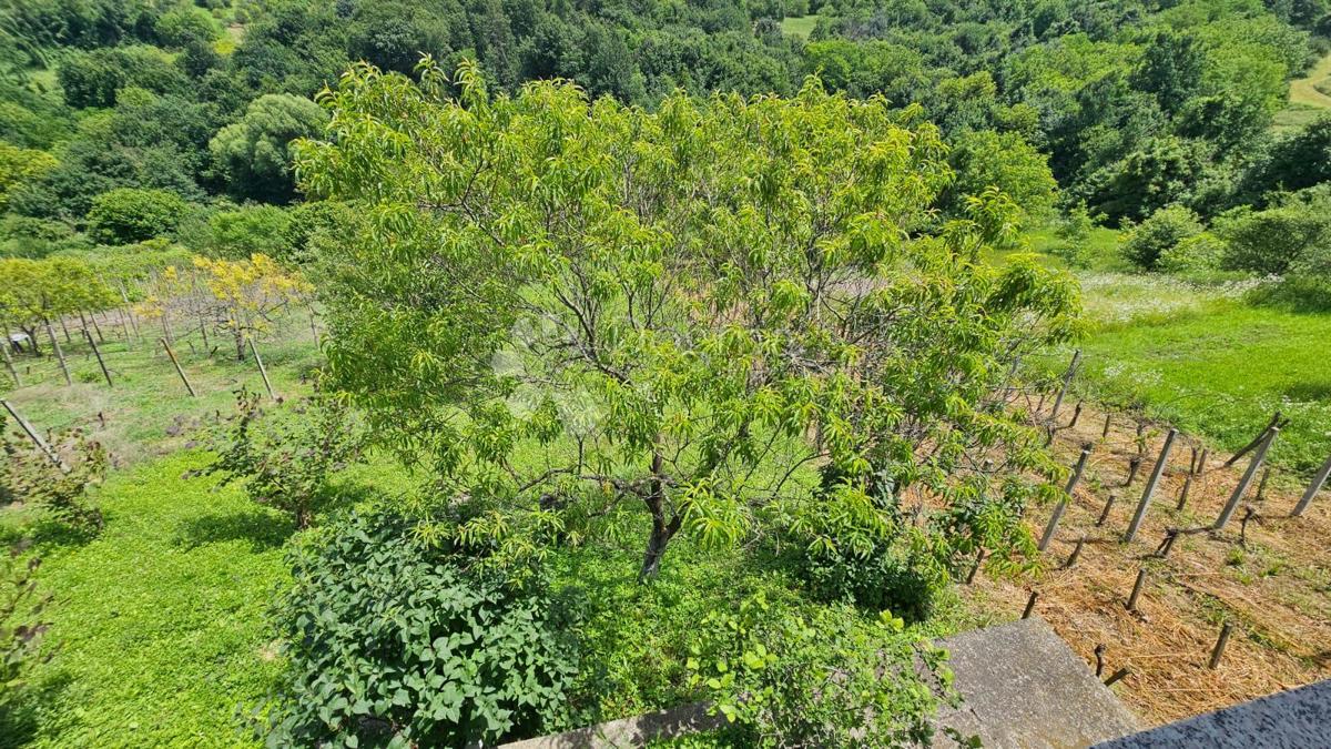 Hiša Vrtlinovec, Varaždinske Toplice, 90m2