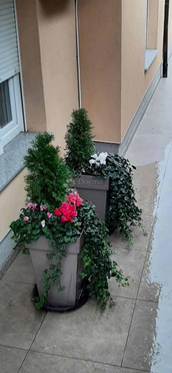 Stanovanje Krimeja, Rijeka, 80m2