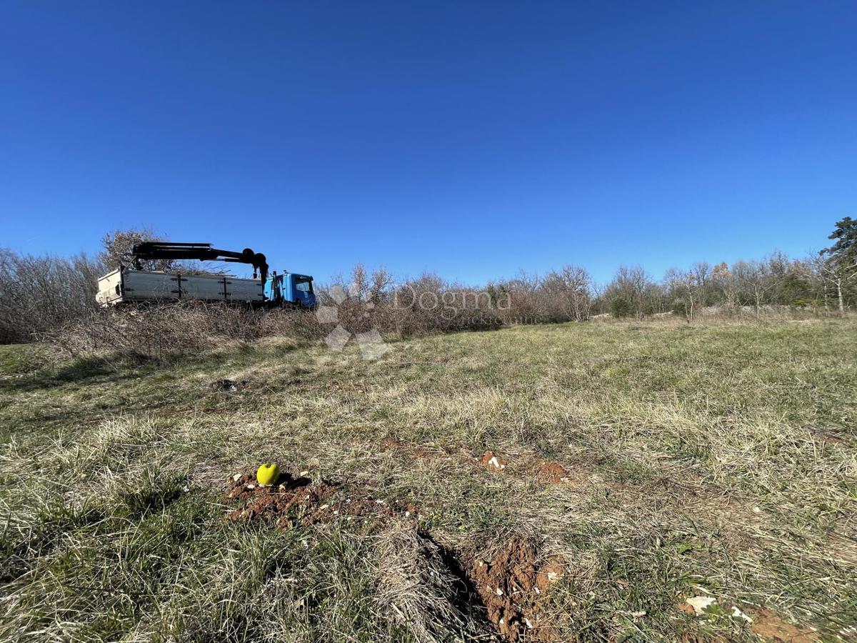 Kmetijsko zemljišče Juršići, Svetvinčenat, 6.672m2