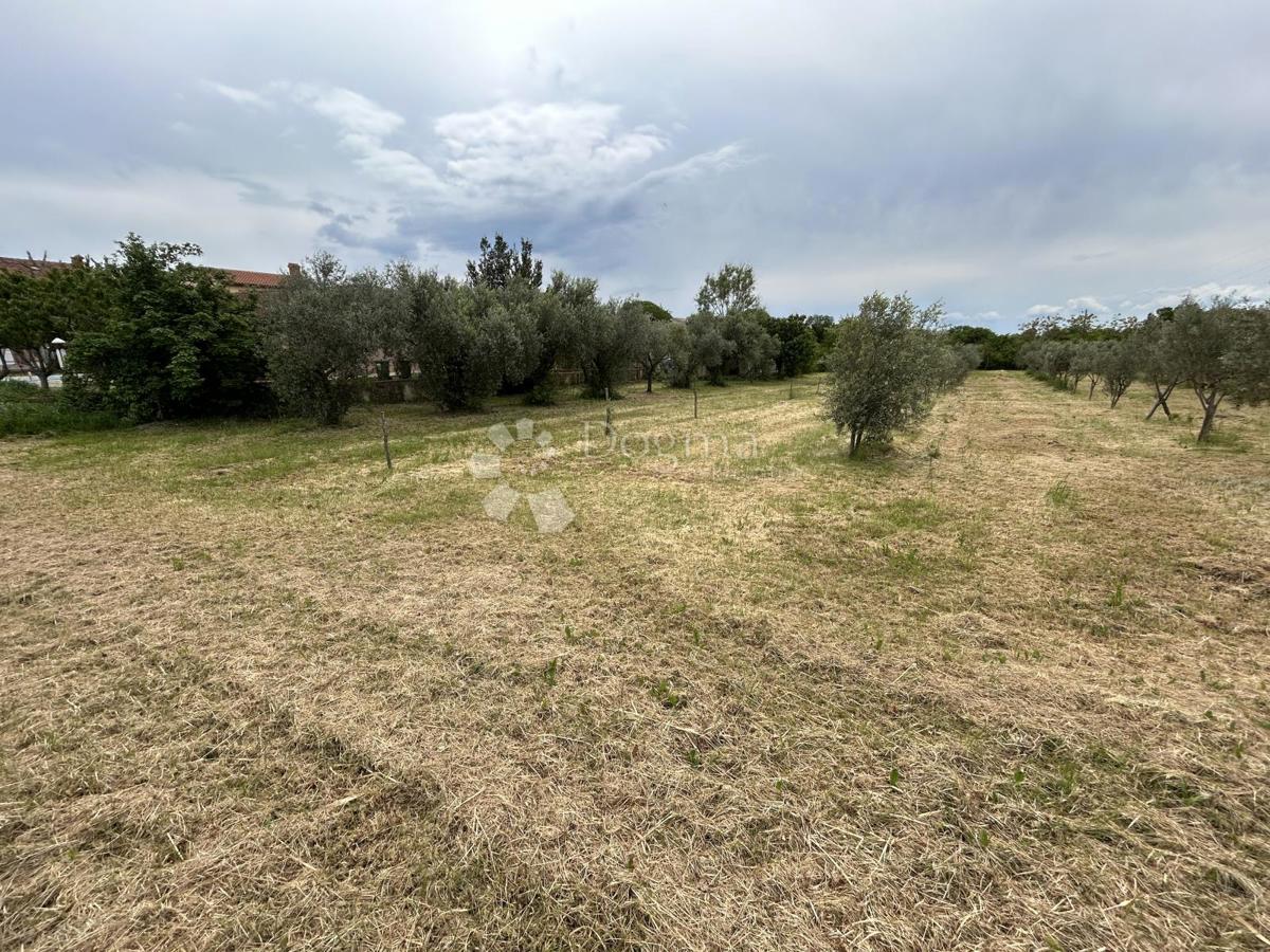 Zemljišče Valtura, Ližnjan, 4.330m2