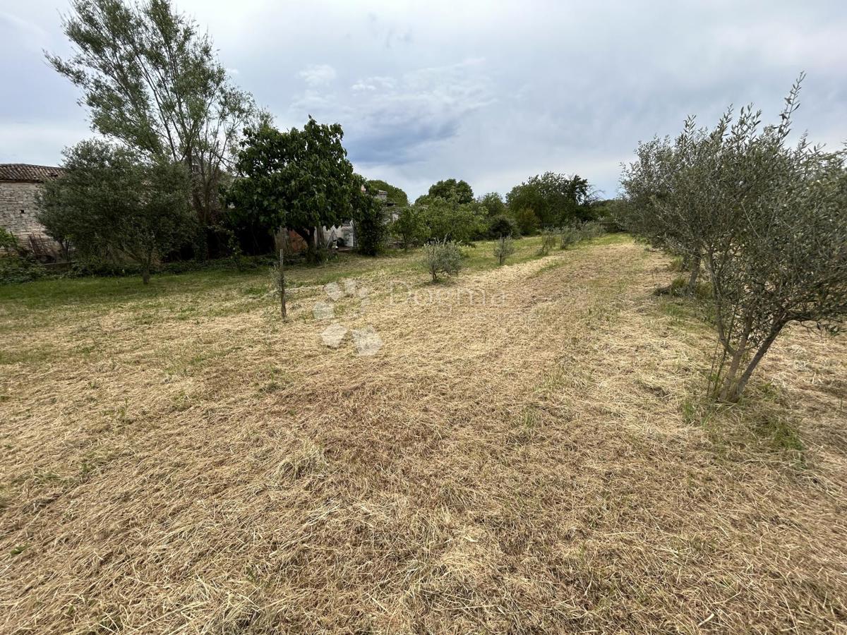 Zemljišče Valtura, Ližnjan, 4.330m2