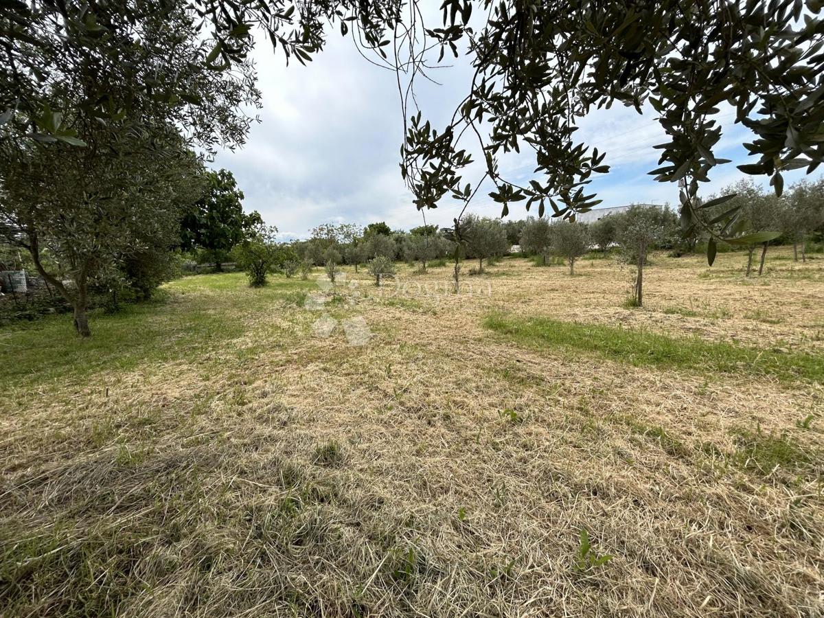 Zemljišče Valtura, Ližnjan, 4.330m2
