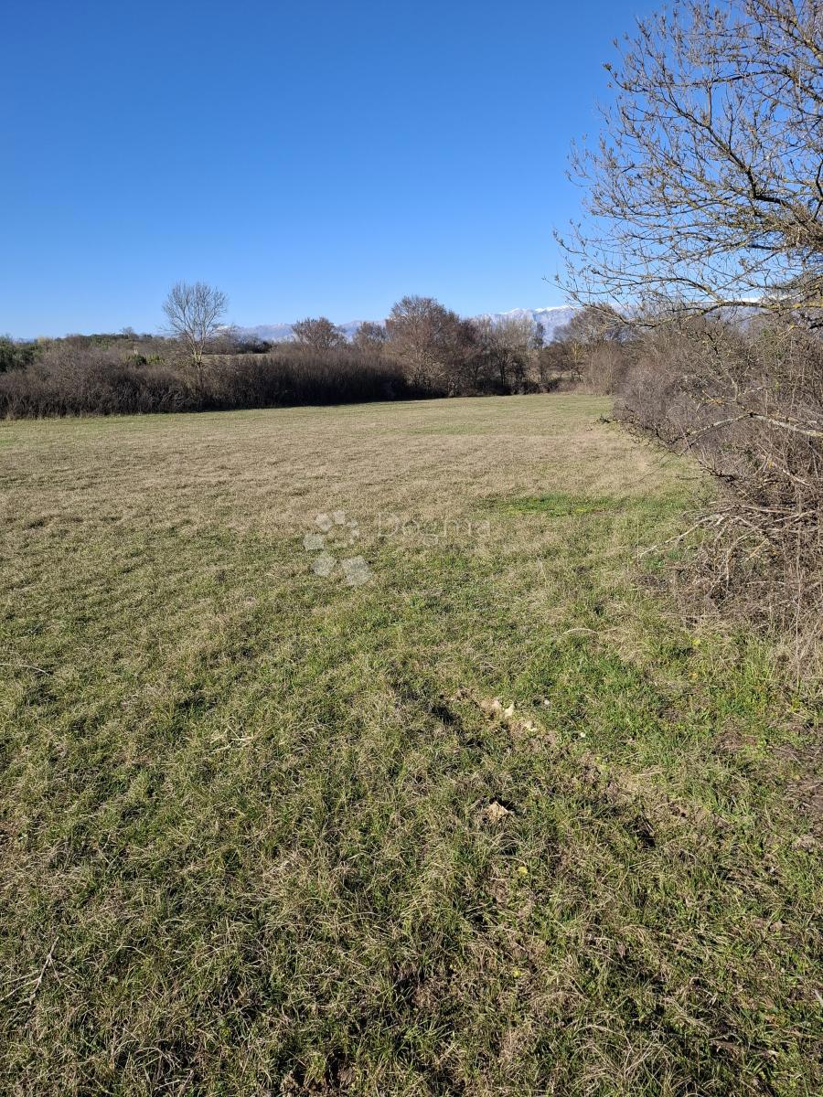 Kmetijsko zemljišče Suhovare, Poličnik, 1.006m2