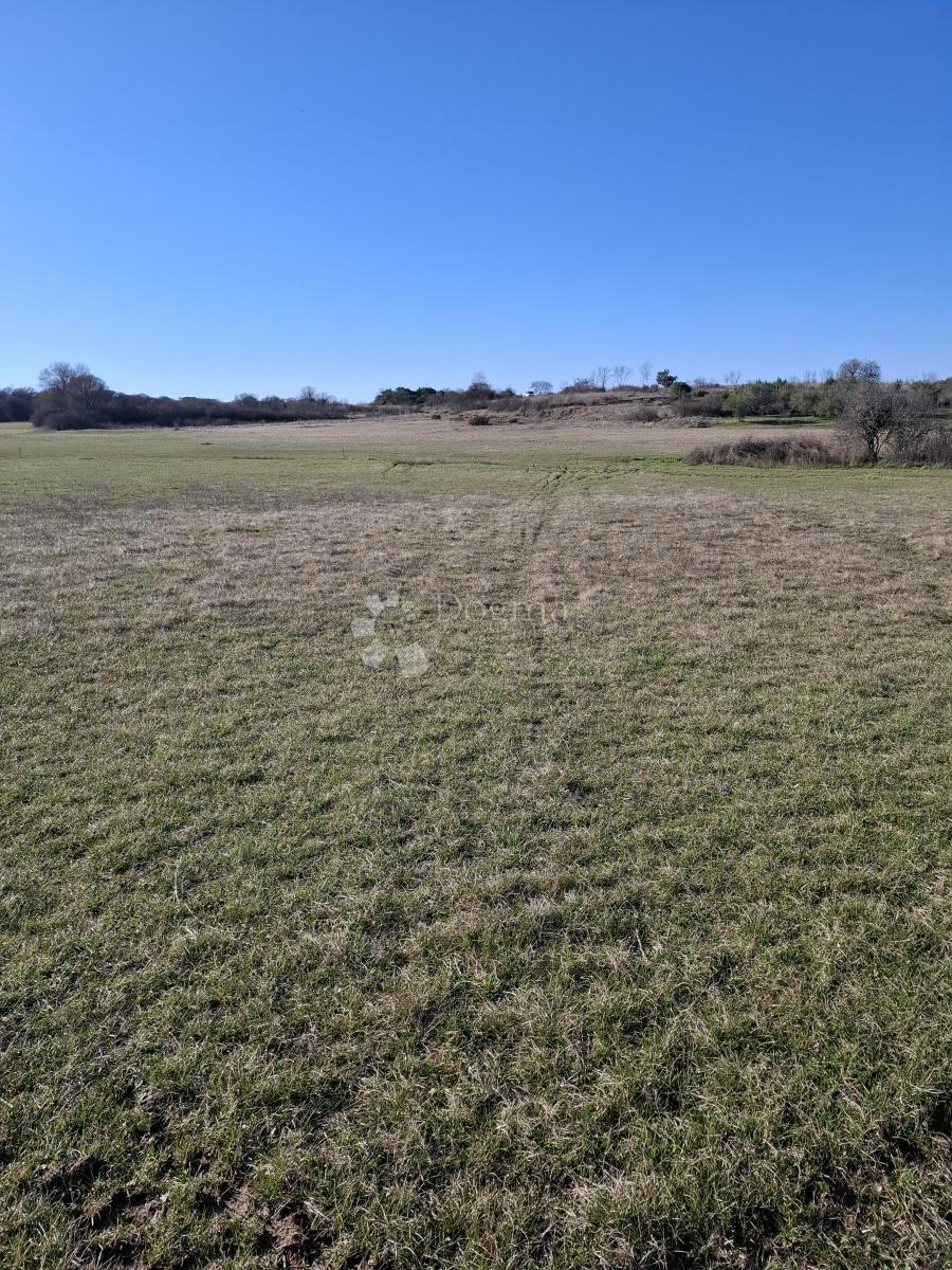 Kmetijsko zemljišče Suhovare, Poličnik, 1.006m2
