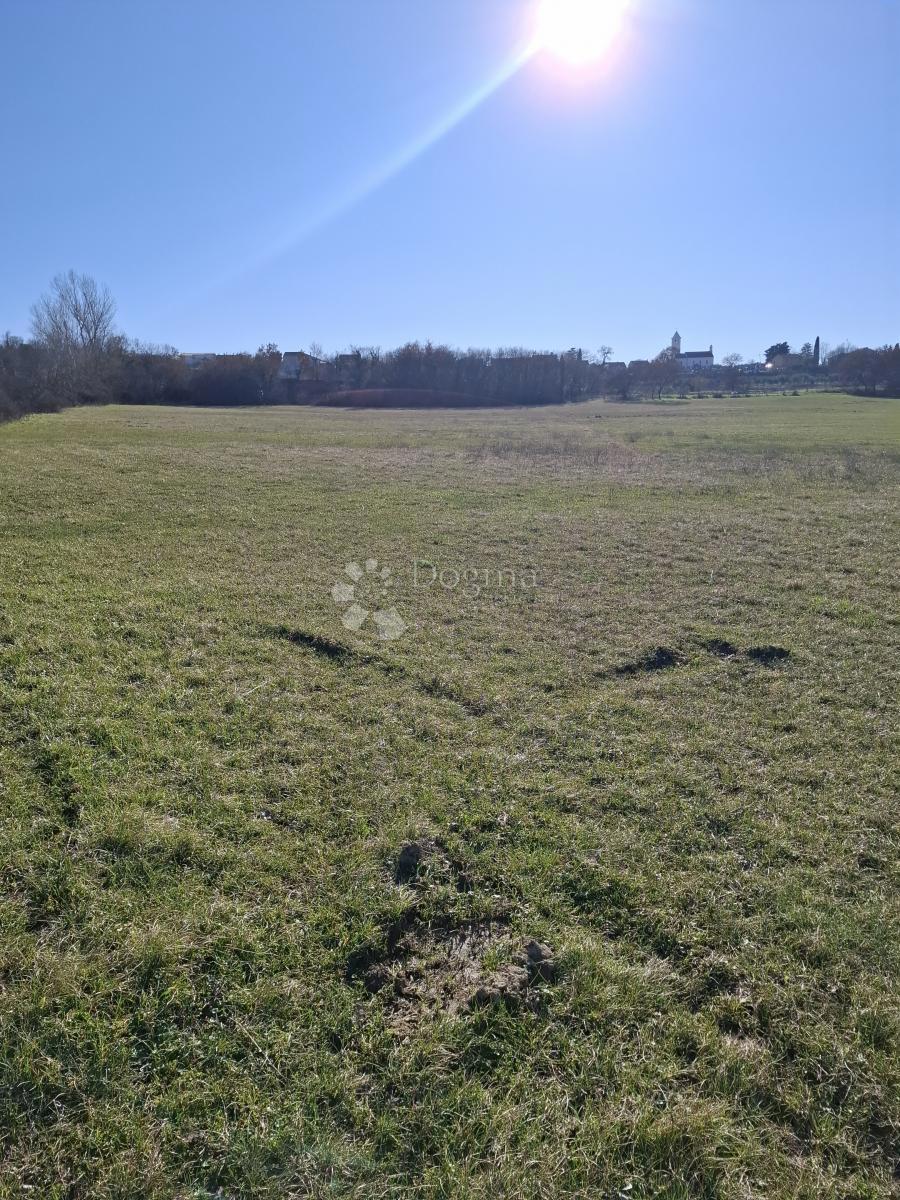 Kmetijsko zemljišče Suhovare, Poličnik, 1.006m2