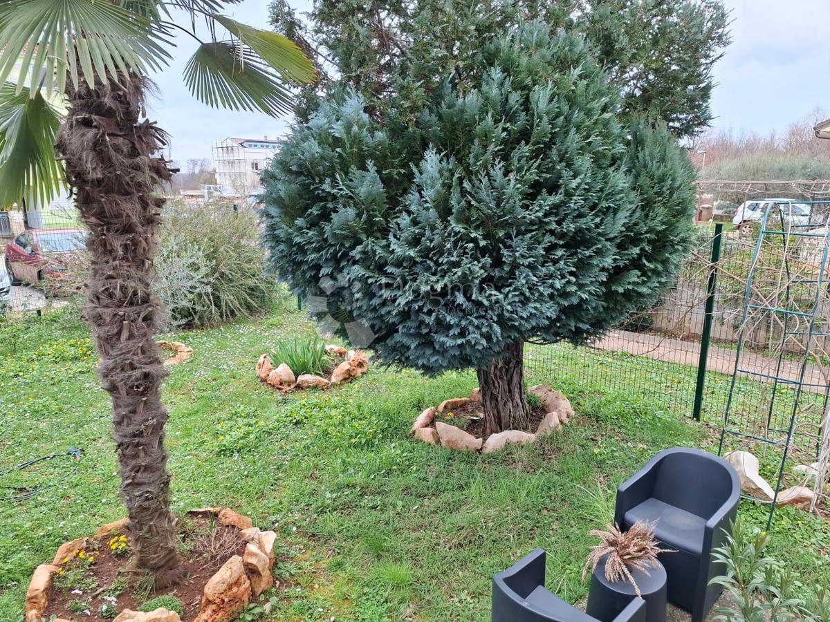 POREČ - Apartma v pritličju z vrtom 2 km od morja