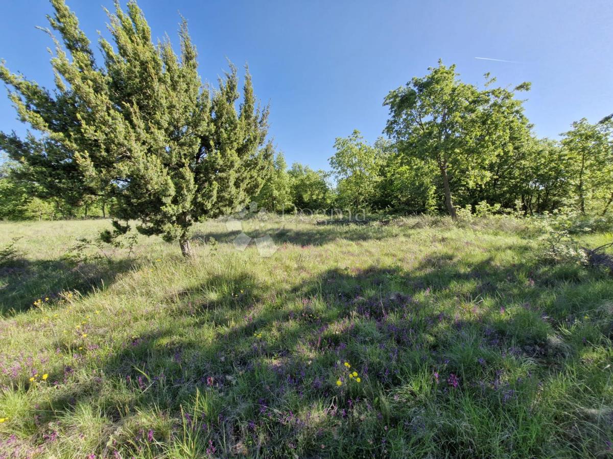 Kmetijsko zemljišče Svetvinčenat, 1.480m2