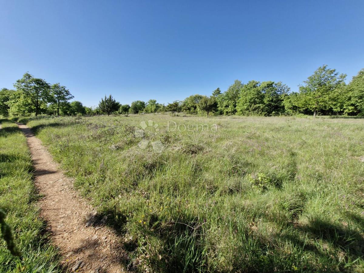 Kmetijsko zemljišče Svetvinčenat, 1.480m2