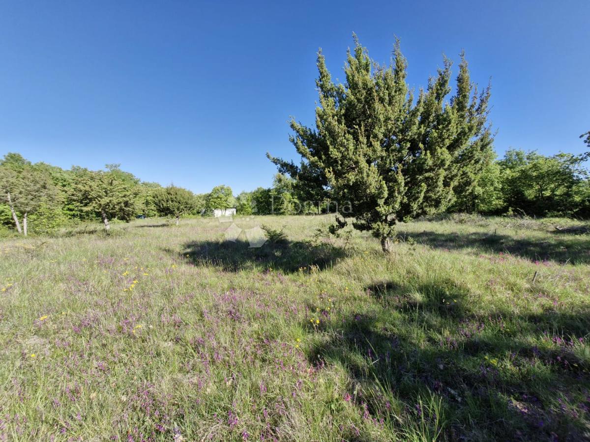 Kmetijsko zemljišče Svetvinčenat, 1.480m2