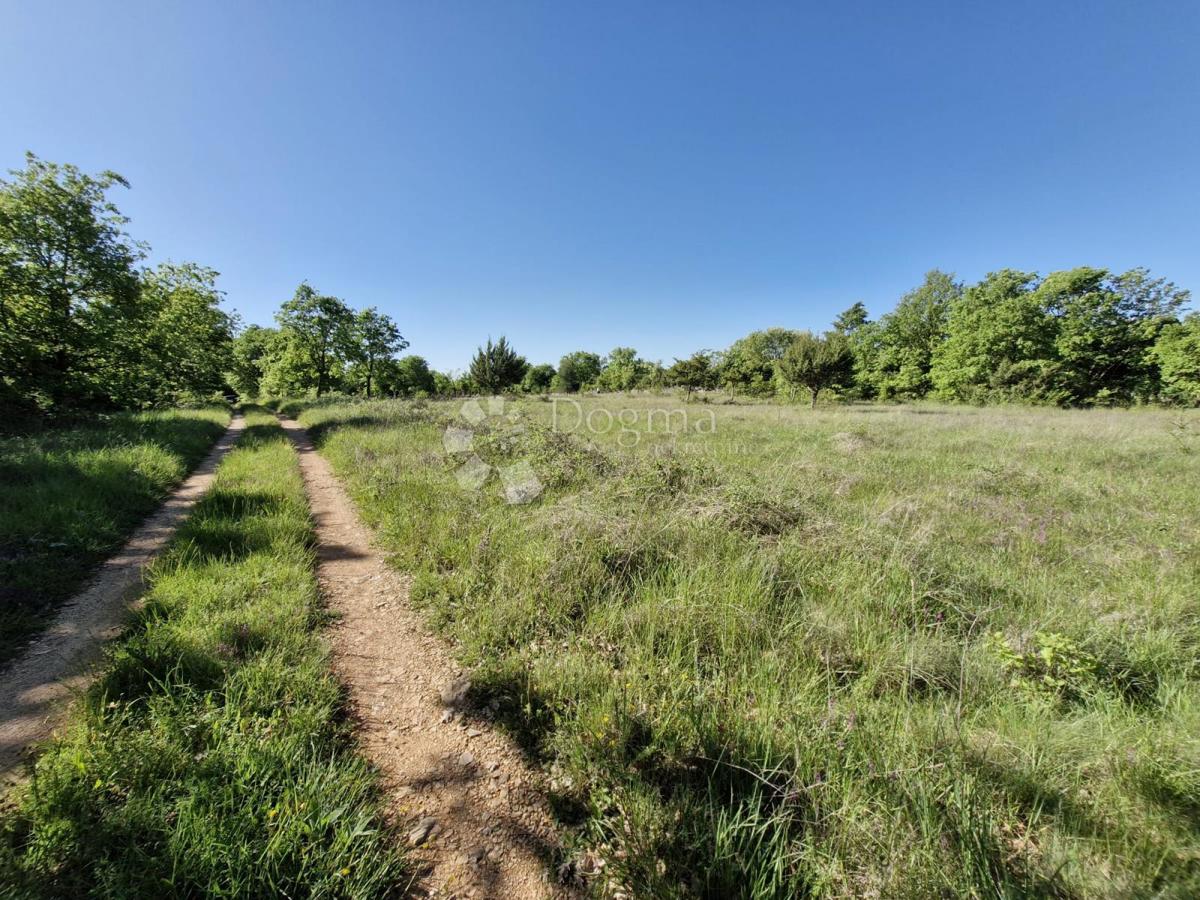 Kmetijsko zemljišče Svetvinčenat, 1.480m2