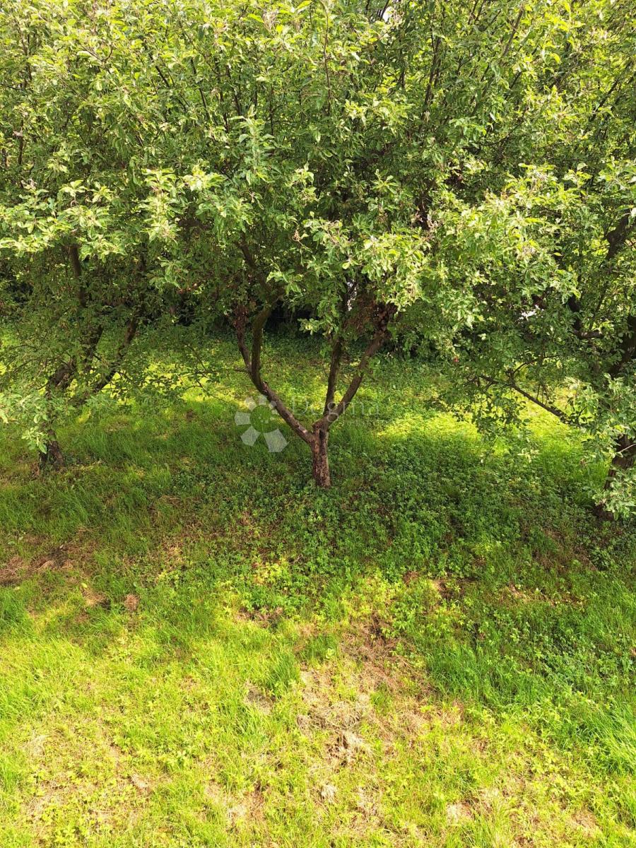 Hiša Mikulići, Črnomerec, 339,02m2