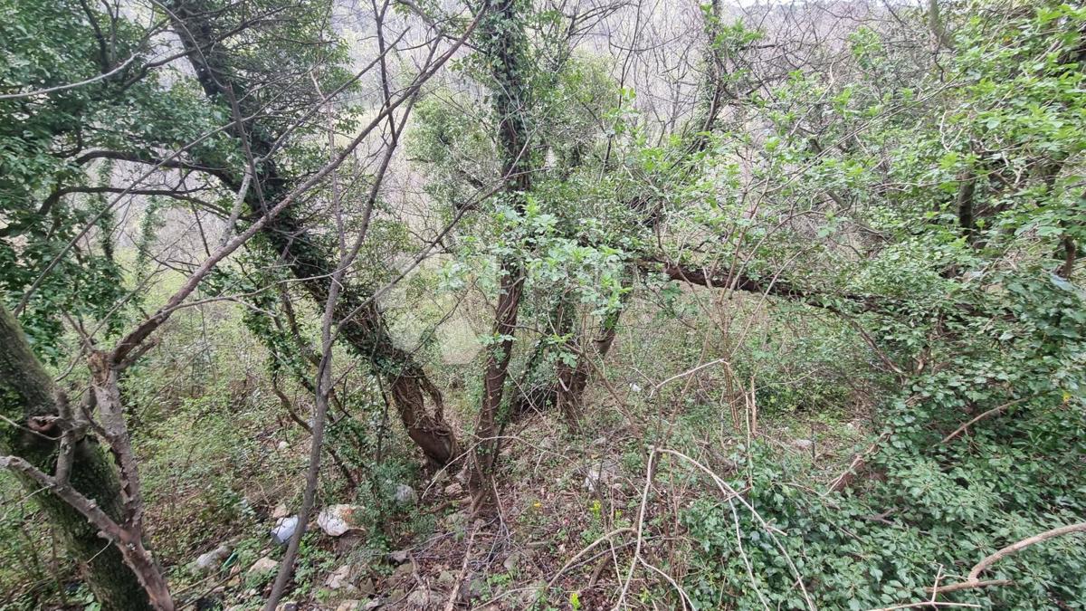 Zemljišče Draga, Rijeka, 7.124,40m2