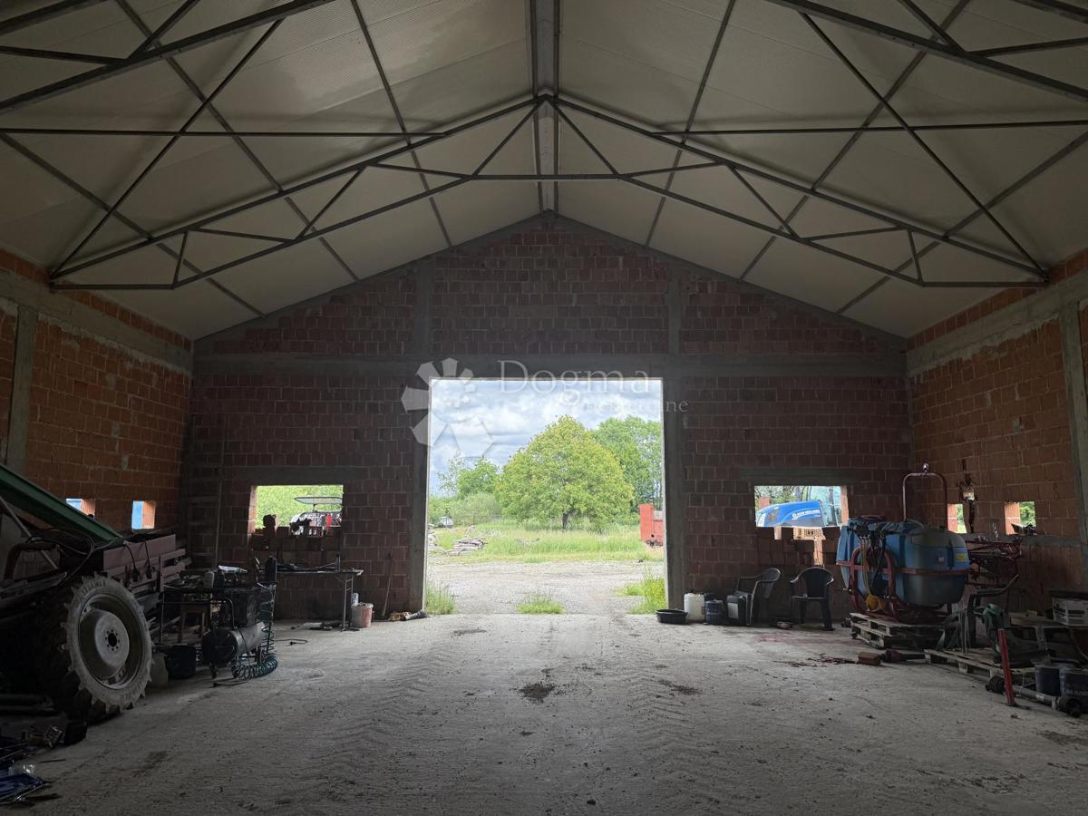 Kmetijsko zemljišče 12.063 m² z gospodarsko zgradbo 600 m²
