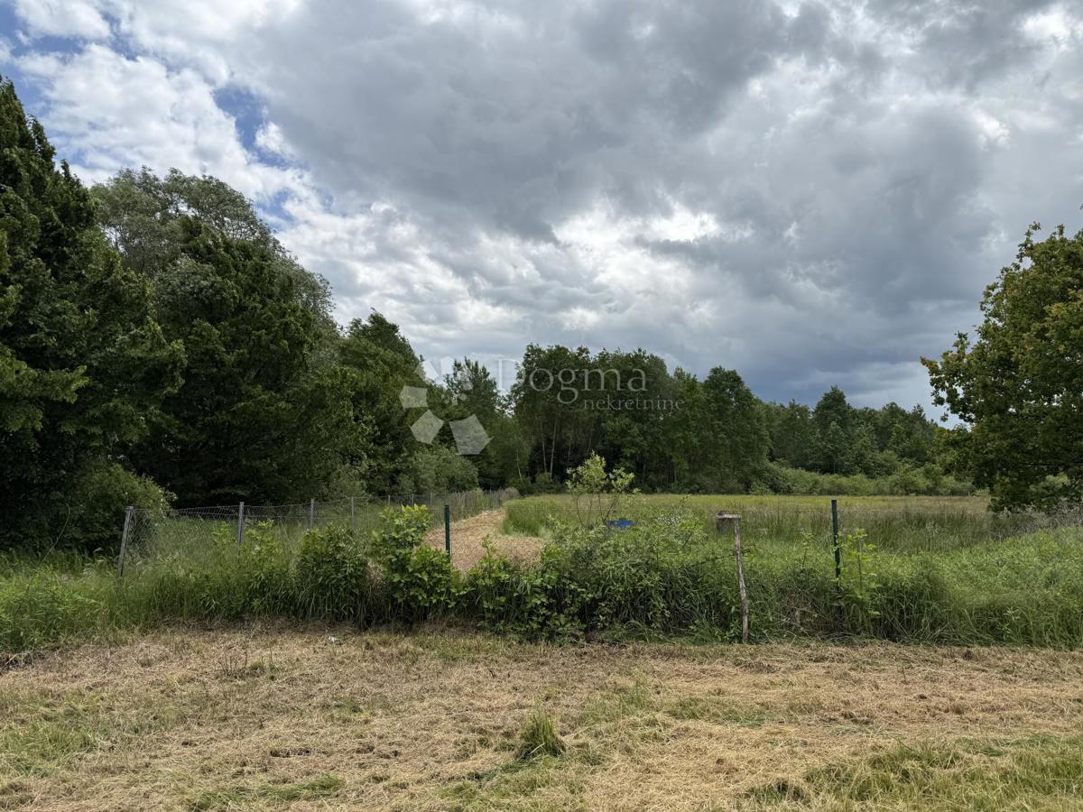 Kmetijsko zemljišče 12.063 m² z gospodarsko zgradbo 600 m²
