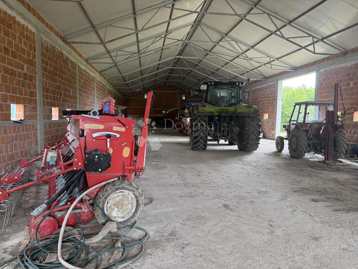 Kmetijsko zemljišče 12.063 m² z gospodarsko zgradbo 600 m²