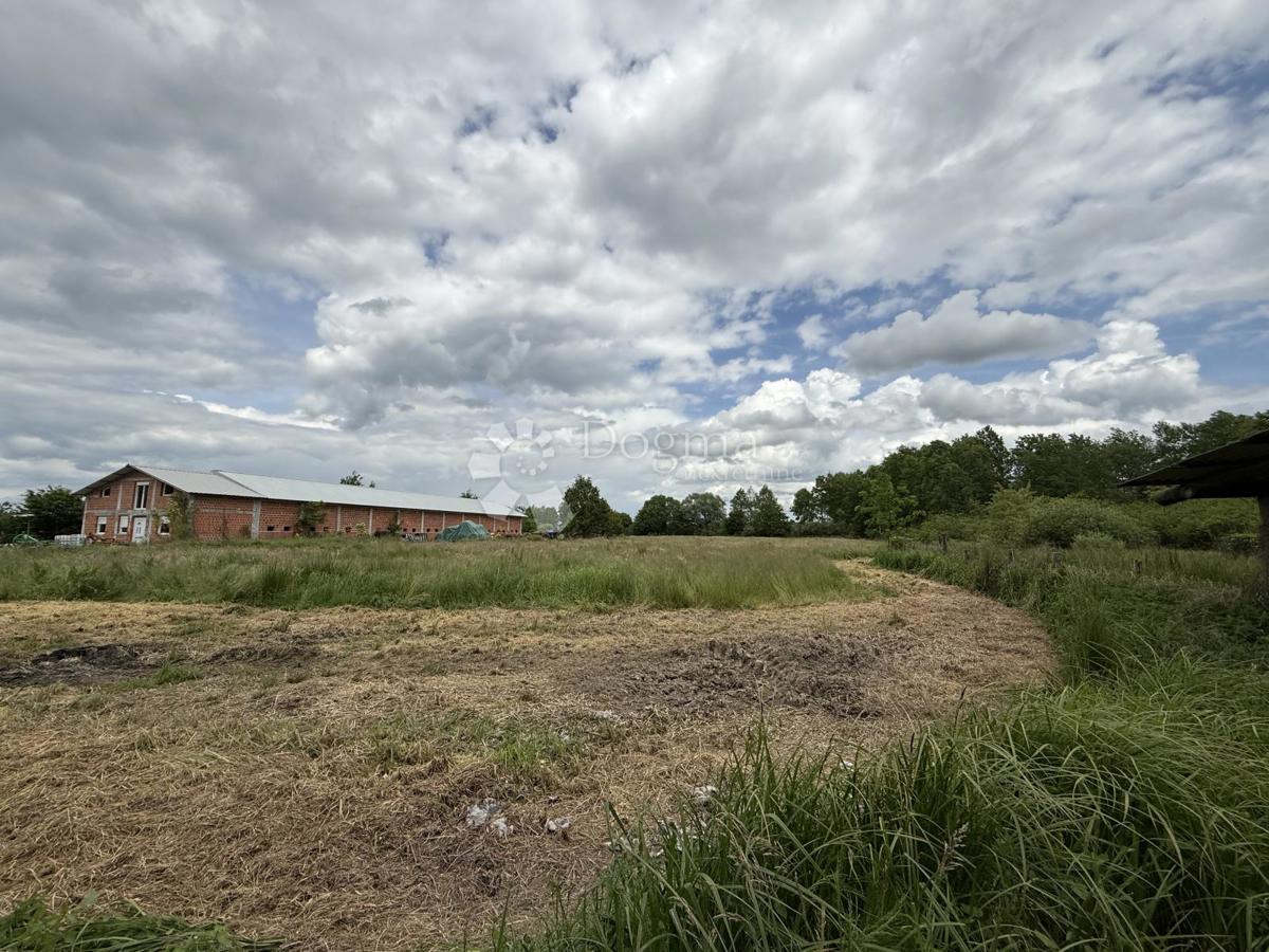 Kmetijsko zemljišče 12.063 m² z gospodarsko zgradbo 600 m²