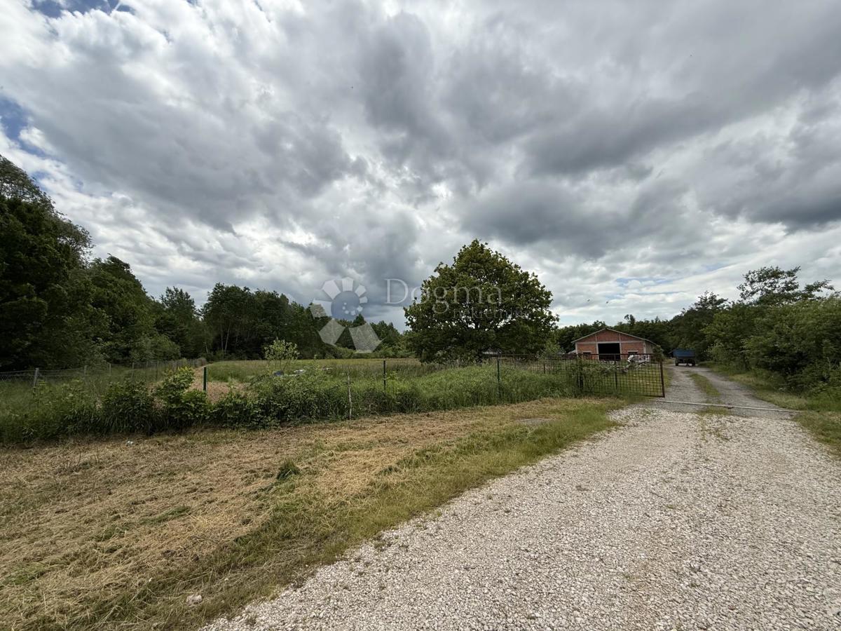 Kmetijsko zemljišče 12.063 m² z gospodarsko zgradbo 600 m²