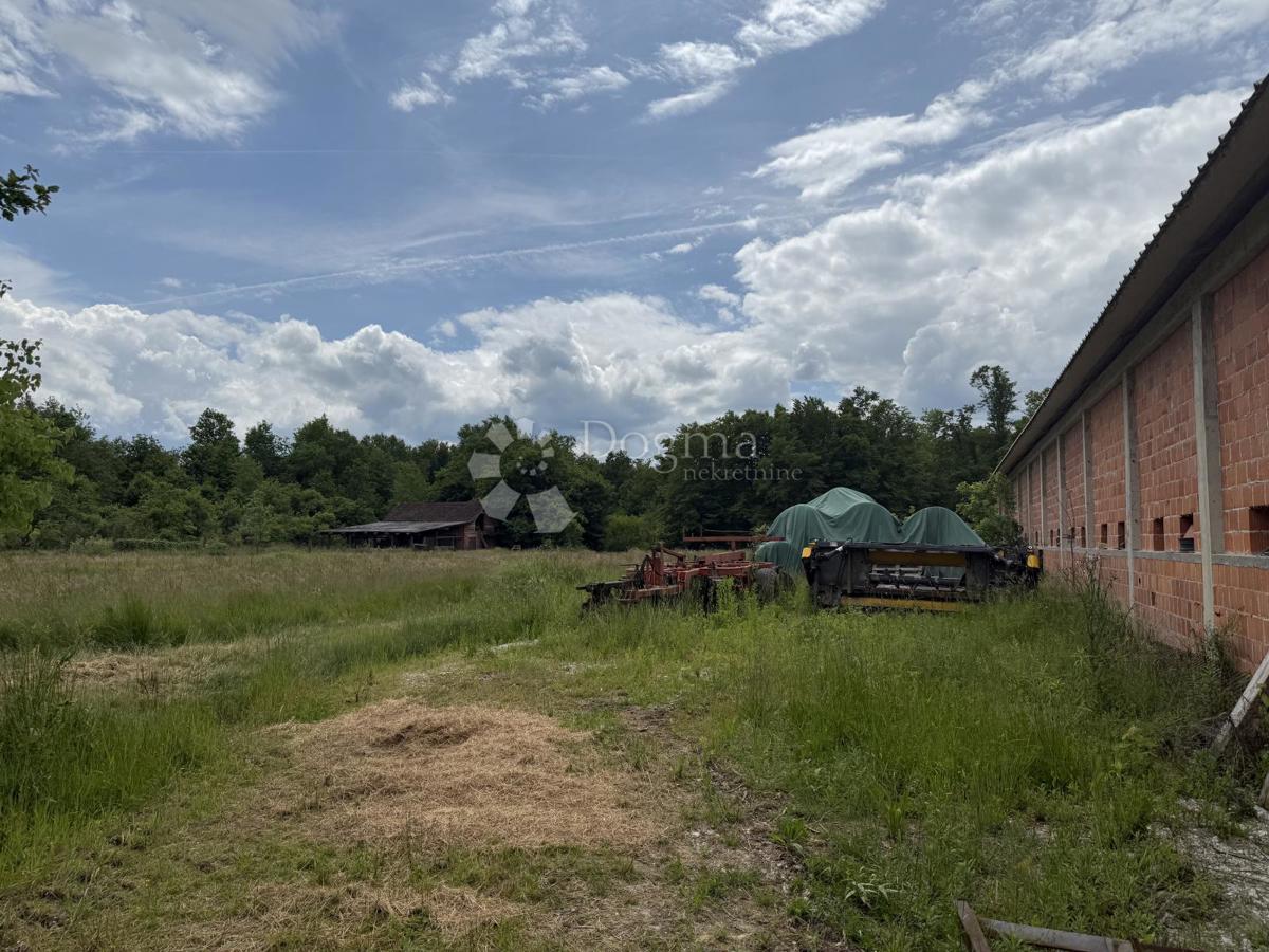 Kmetijsko zemljišče 12.063 m² z gospodarsko zgradbo 600 m²