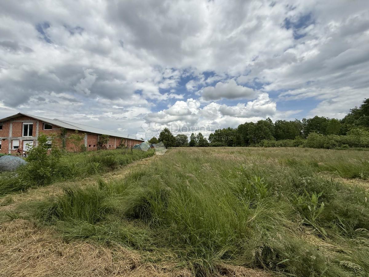 Kmetijsko zemljišče 12.063 m² z gospodarsko zgradbo 600 m²
