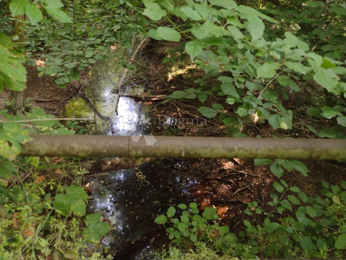 Kmetijsko zemljišče Batinova Kosa, Topusko, 9.532m2