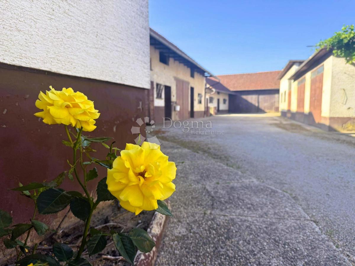 Hiša Strahoninec, 128m2