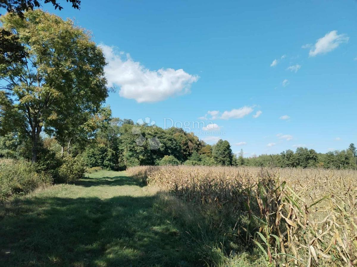 Hiša Prečec, Brckovljani, 5m2