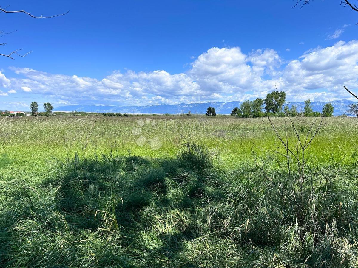 Kmetijsko zemljišče Privlaka, 12.809m2