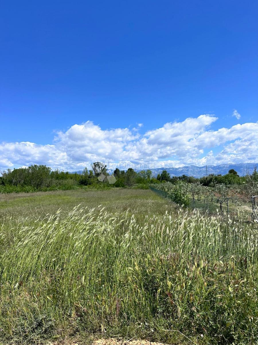 Kmetijsko zemljišče Privlaka, 12.809m2