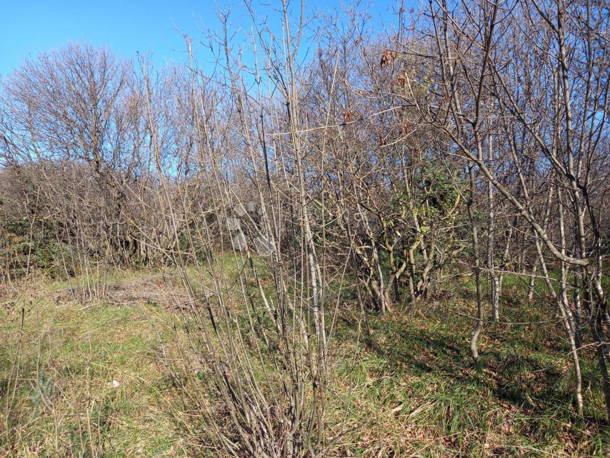 Kmetijsko zemljišče Kostrena, 1.747m2