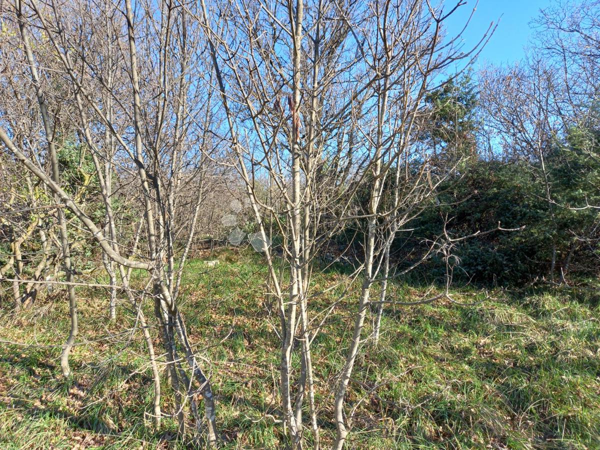 Kmetijsko zemljišče Kostrena, 1.747m2