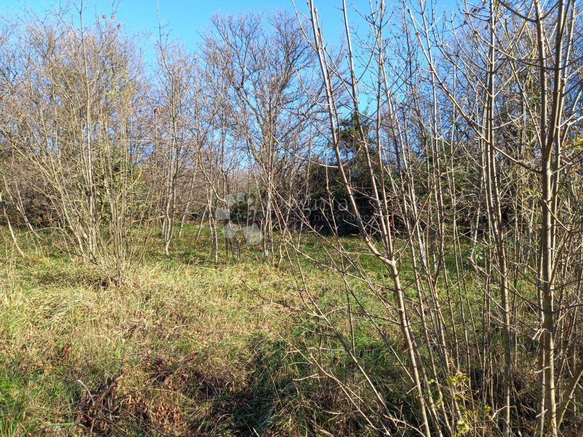 Kmetijsko zemljišče Kostrena, 1.747m2