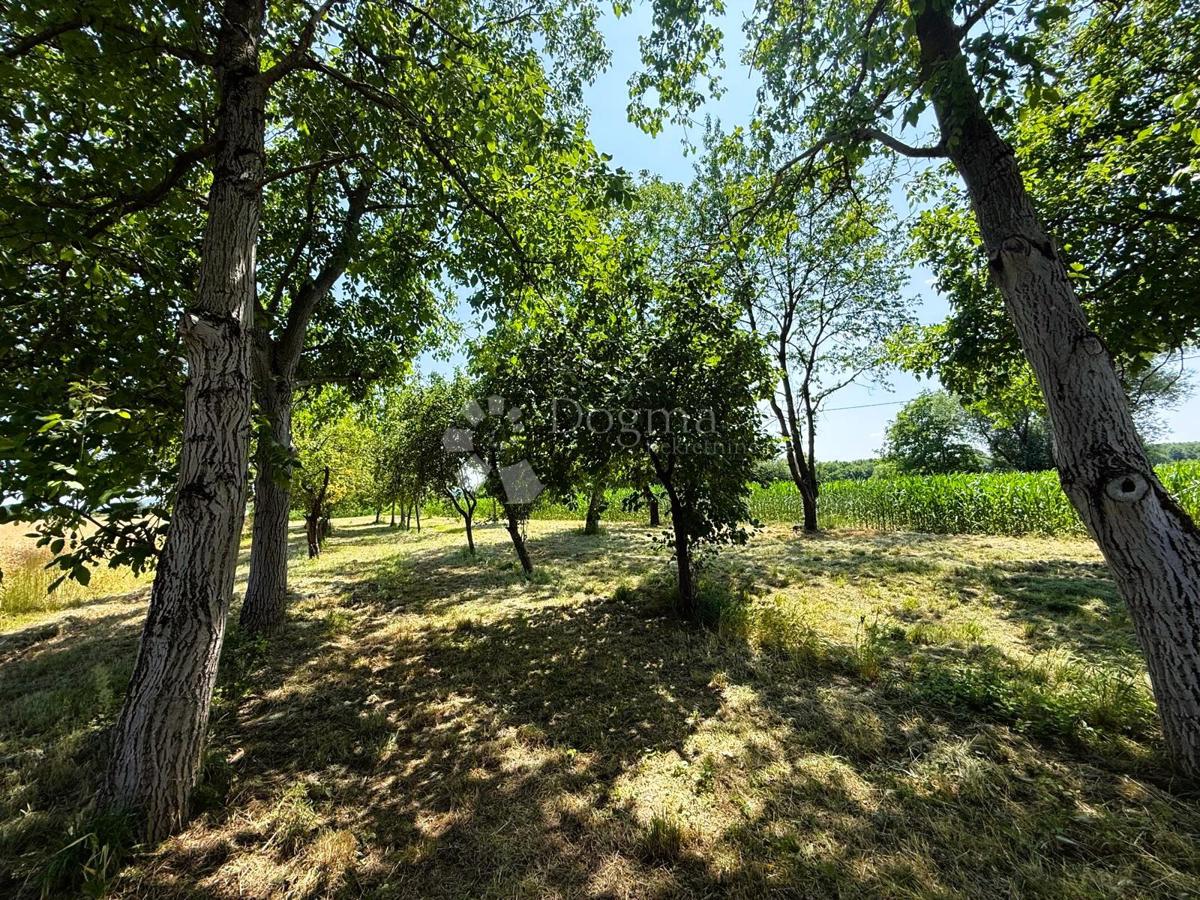 Kmetijsko zemljišče Biškupec, Varaždin, 2.938m2