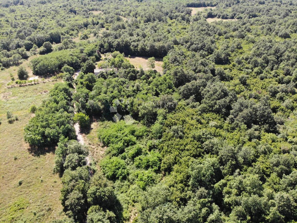 Zazidljivo zemljišče Poreč, 1.033m2