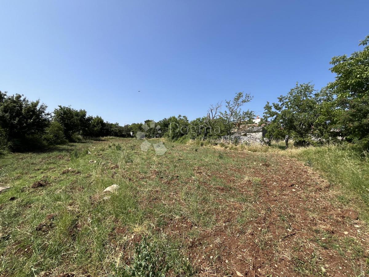 OKOLICA VIŠNJANA, KOMPLEKS GRADBENIH PARCEL S KAMNITO HIŠO ZA OBNOVO