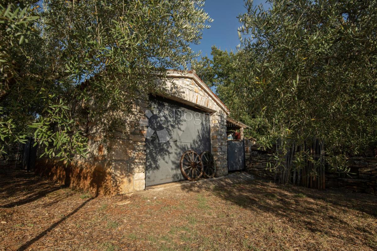 Hiša Galižana, Vodnjan, 290m2