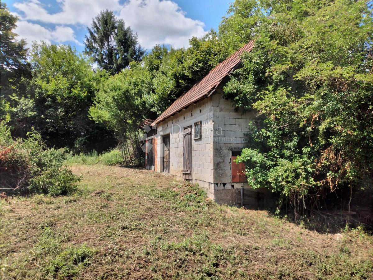 Hiša Golinja, Gvozd, 50m2