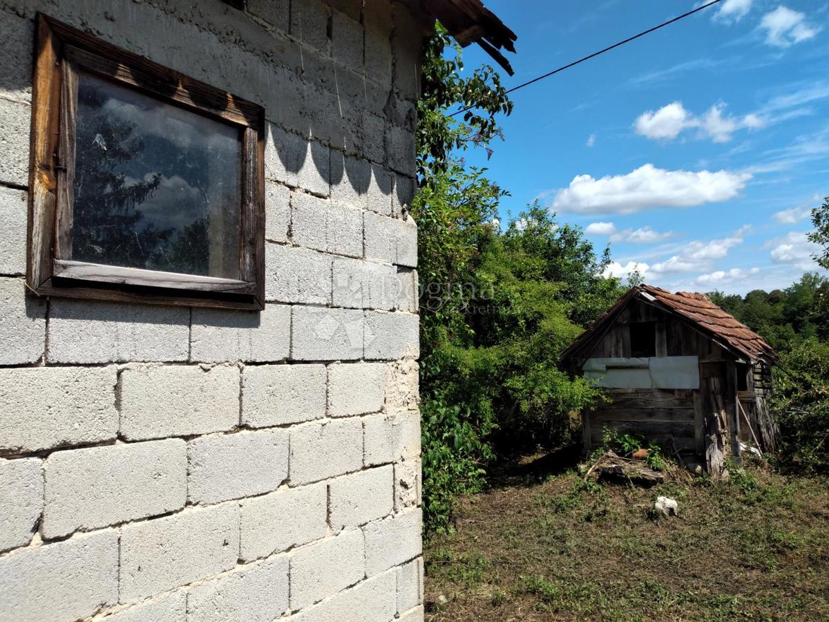 Hiša Golinja, Gvozd, 50m2