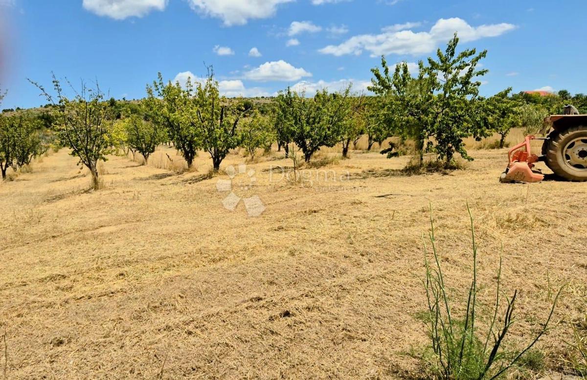 Zazidljivo zemljišče Kožlovac, Benkovac, 3.036m2