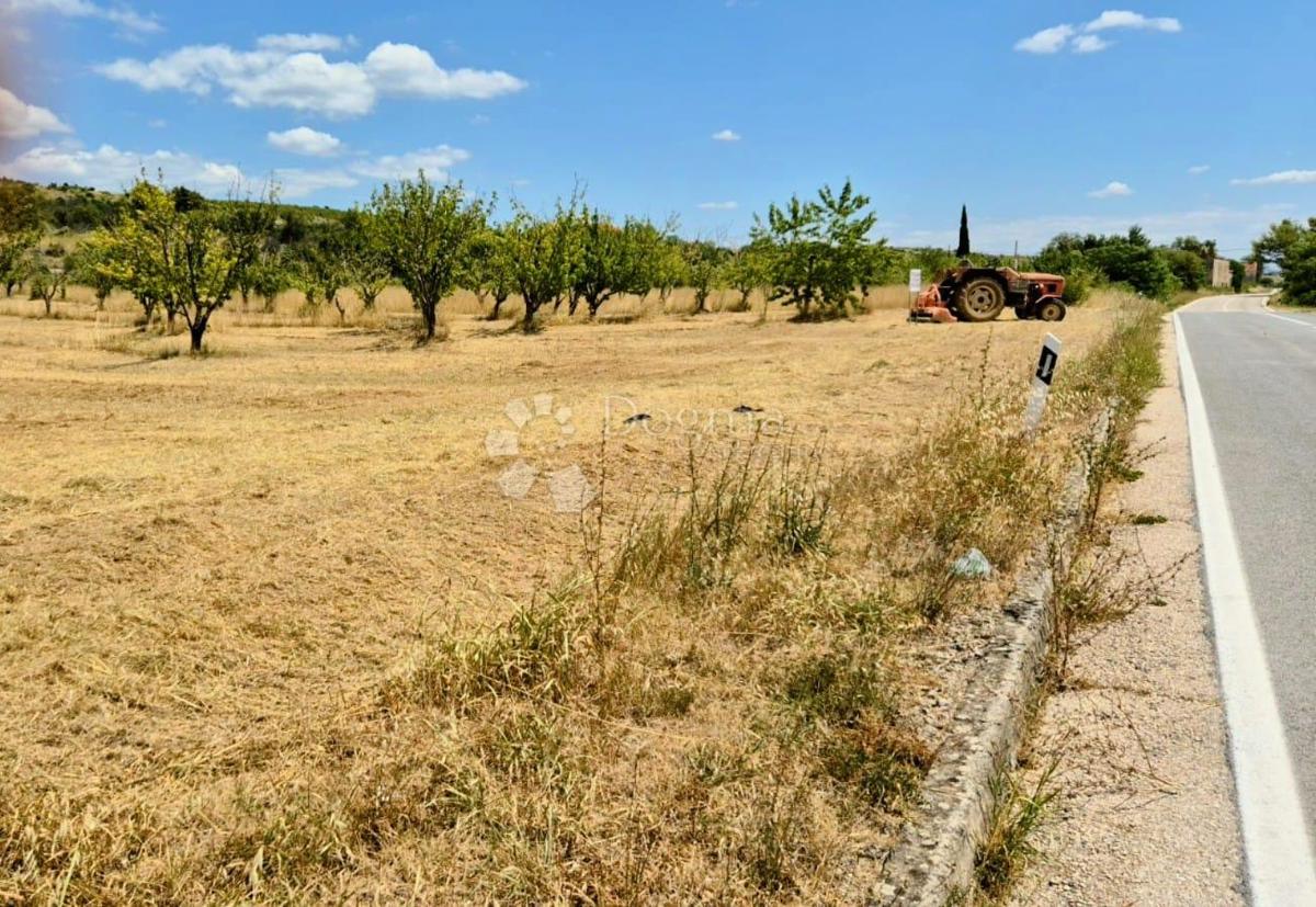 Zazidljivo zemljišče Kožlovac, Benkovac, 3.036m2