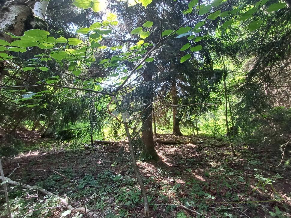 Zazidljivo zemljišče Kupjak, Ravna Gora, 3.725m2