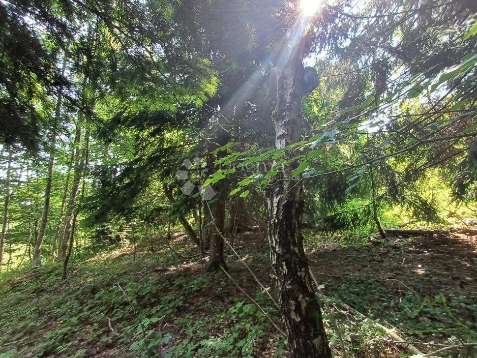 Zazidljivo zemljišče Kupjak, Ravna Gora, 3.725m2