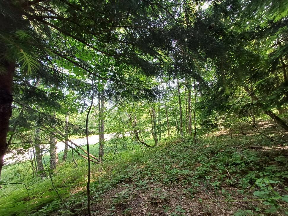 Zazidljivo zemljišče Kupjak, Ravna Gora, 3.725m2