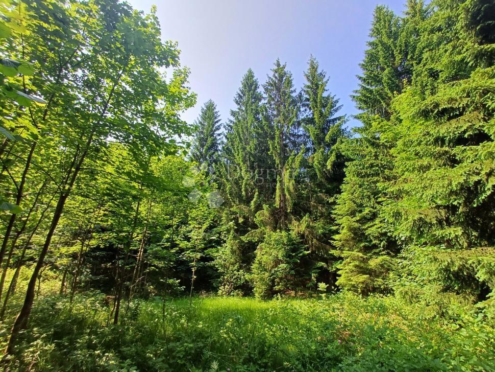 Zazidljivo zemljišče Kupjak, Ravna Gora, 3.725m2