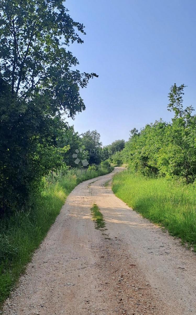 Kmetijsko zemljišče Žikovići, Višnjan, 6.118m2