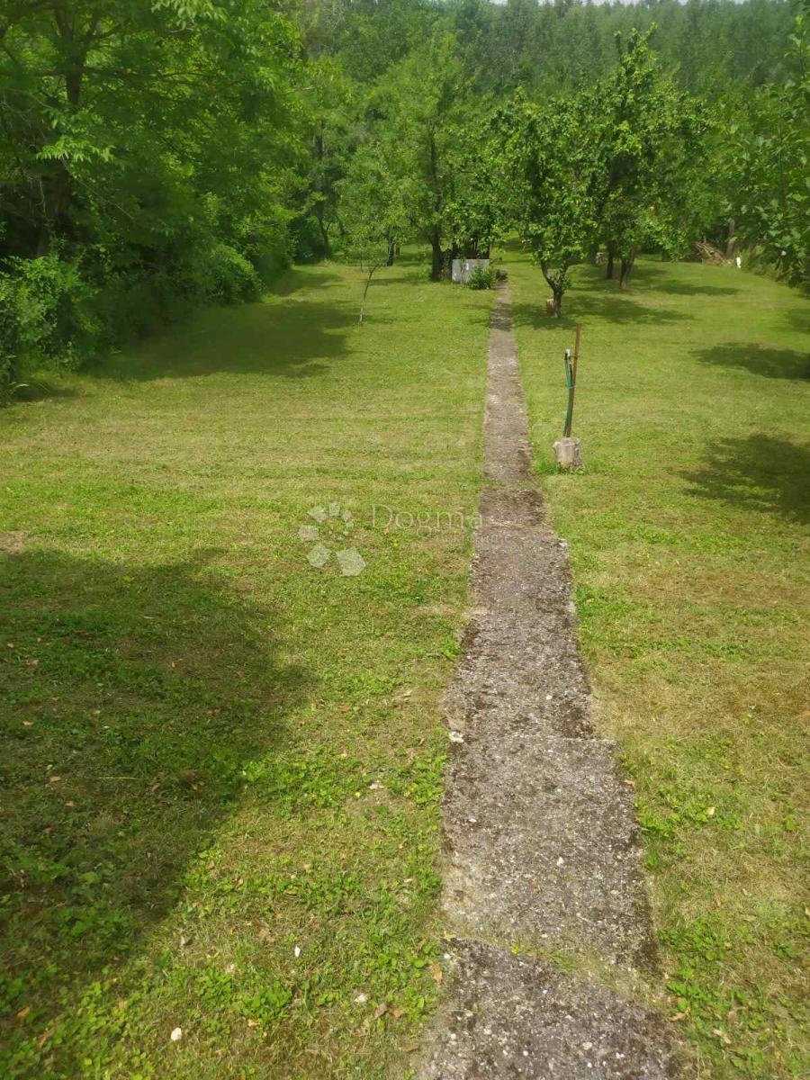 Hiša Dalj, Erdut, 2.331m2