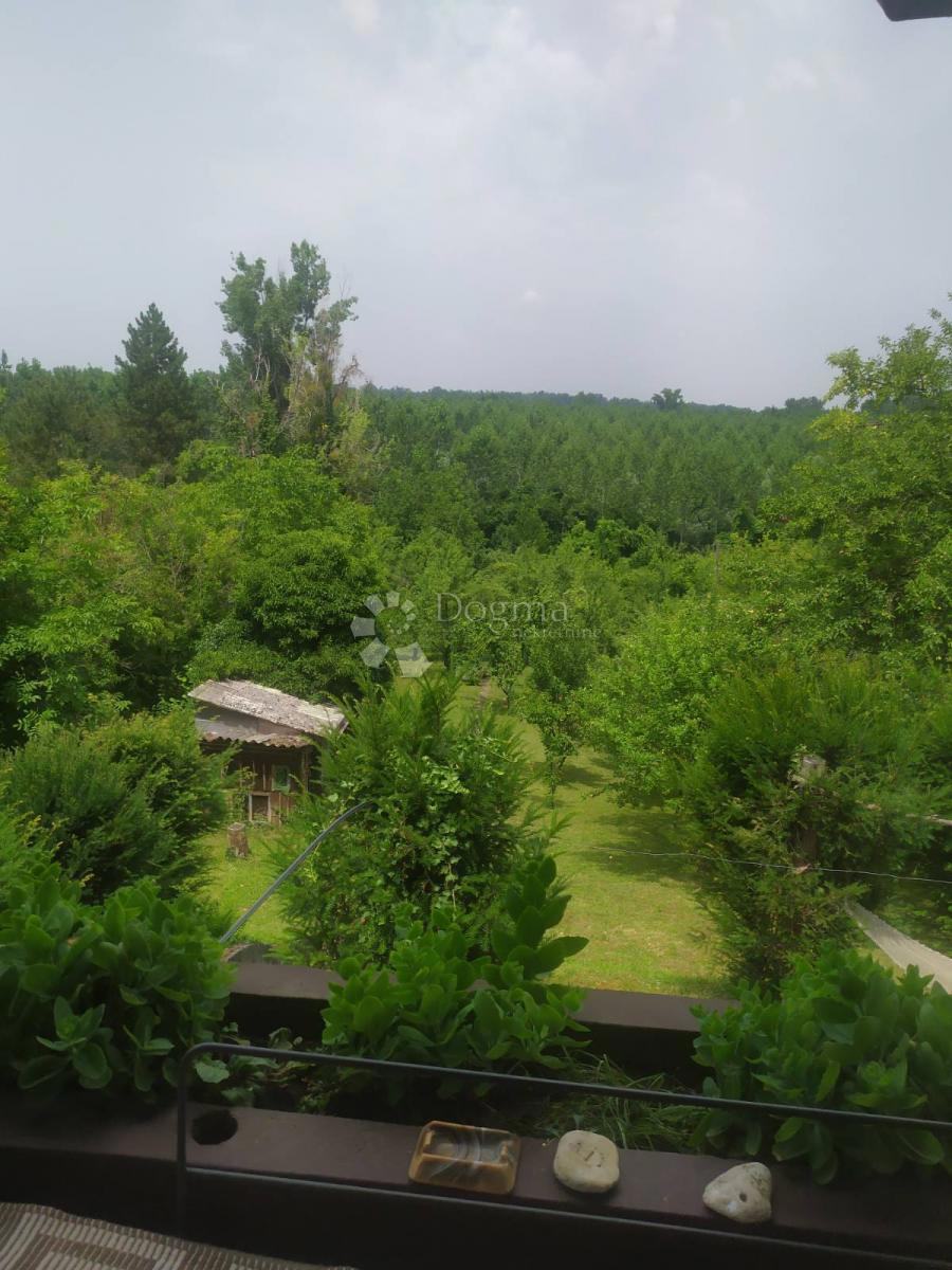 Hiša Dalj, Erdut, 2.331m2